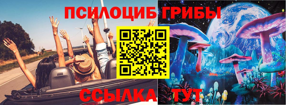 Псилоцибиновые грибы прущие грибы  Псилоцибиновые грибы Magic Shrooms  Вход с VPN  Апатиты 